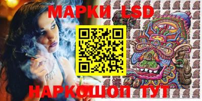 индика Будённовск