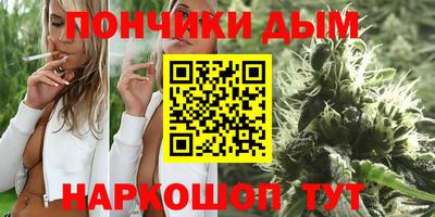 индика Будённовск