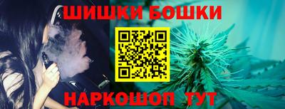 индика Будённовск