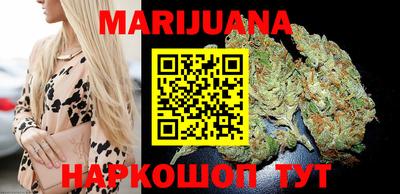 индика Будённовск