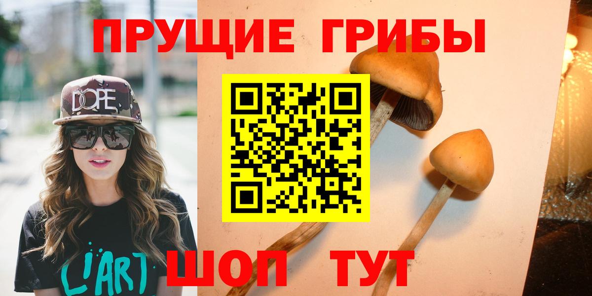 Галлюциногенные грибы Cubensis Копейск