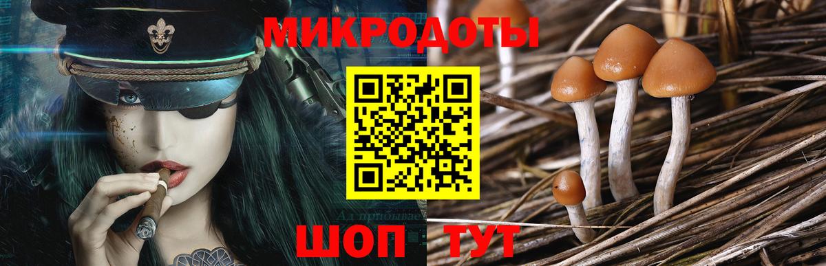 Псилоцибиновые грибы мухоморы  Вход с VPN  где найти   Псилоцибиновые грибы мицелий  Копейск 